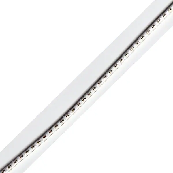 Elastic Tape 0002 — Elastic Tape / Band supplied by Topono