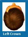Left crown hair style