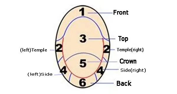 Template area distribution