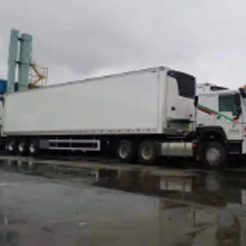 High-Quality Refrigerated Cargo Trailer for Sale - rear view