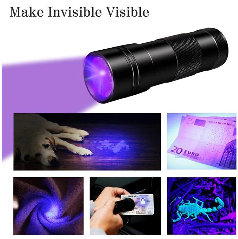 Collage showing UV flashlight and its applications for detecting pet stains, counterfeit money, and scorpions