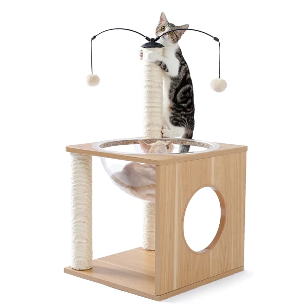 Wooden cat tree with sisal scratching posts, acrylic dome bed and hanging pom-pom toys, tabby cat climbing on top