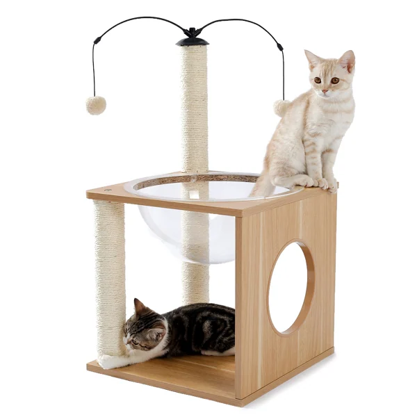 Wooden cat tree with sisal scratching posts, clear dome bed and hanging toy balls, with two cats playing on it