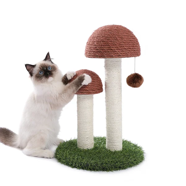 Cat climbing the tall post with the dangling ball in motion, indoors