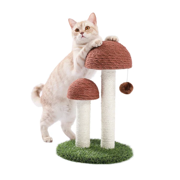 Artificial grass-covered base with 12-inch diameter, showing texture and stability
