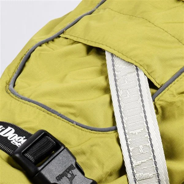 Close-up of green waterproof dog