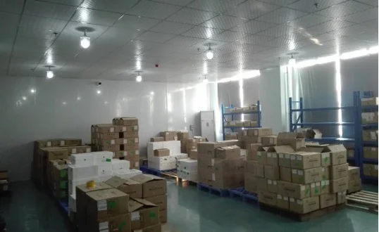 Packed finished goods staged in the Unique warehouse before export