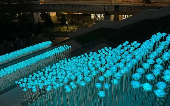 A batch of illuminated flower stem lights lit for inspection before packing.