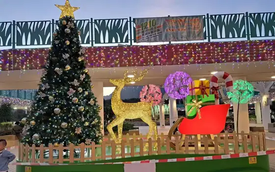Shopping Malls and Retail