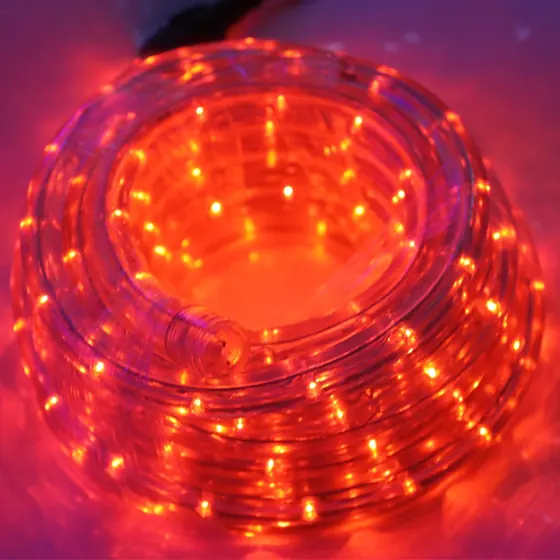 LED Rope Light detail 1