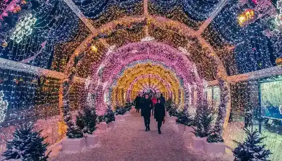 Parks and Light Festivals