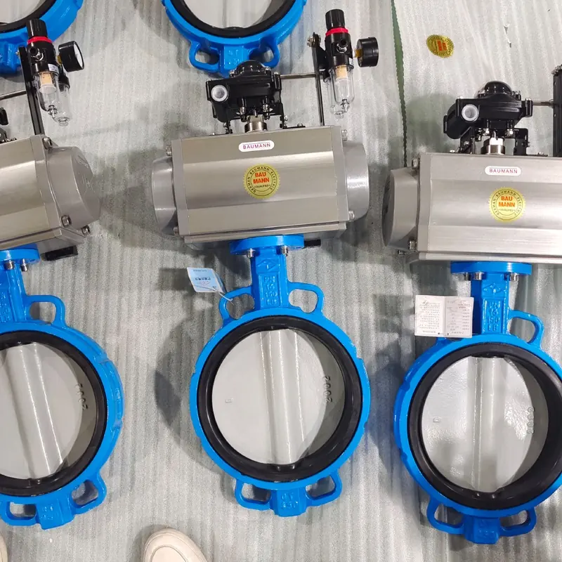 Pneumatic Valve Actuator (Rack and Pinion) view 4