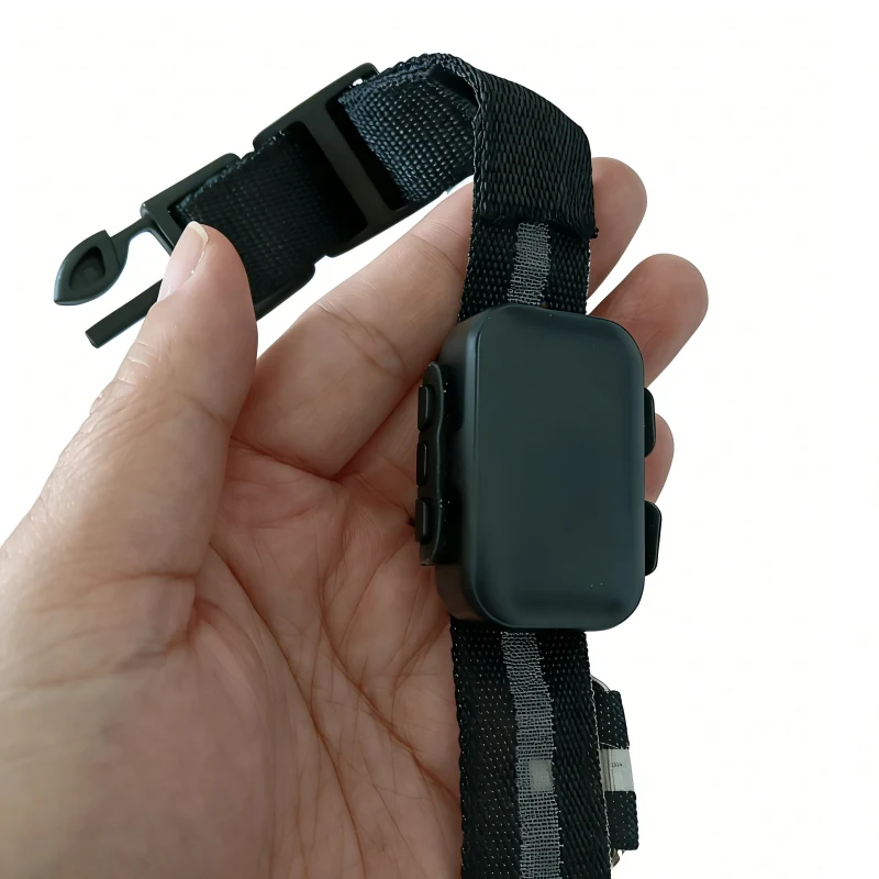 G59 pet GPS tracker on a collar for pet retail brands