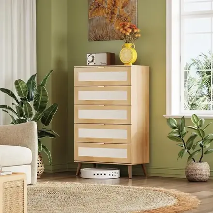 Rattan Plaited Articles with 5 Drawer Exquisite Cabinet