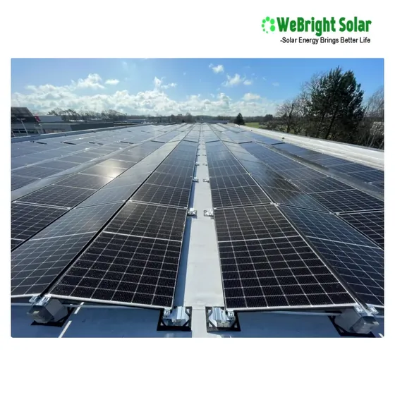 Rows of solar panels installed on a flat industrial rooftop under a blue sky.