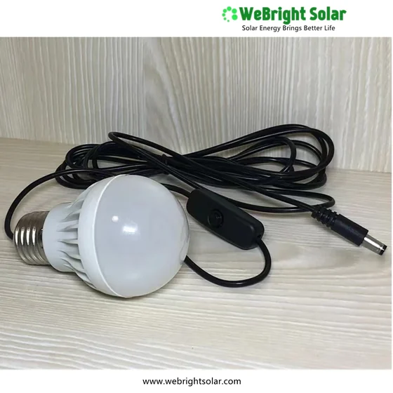 An LED light bulb with a wired DC connector and inline switch lying on a wood-grain surface.