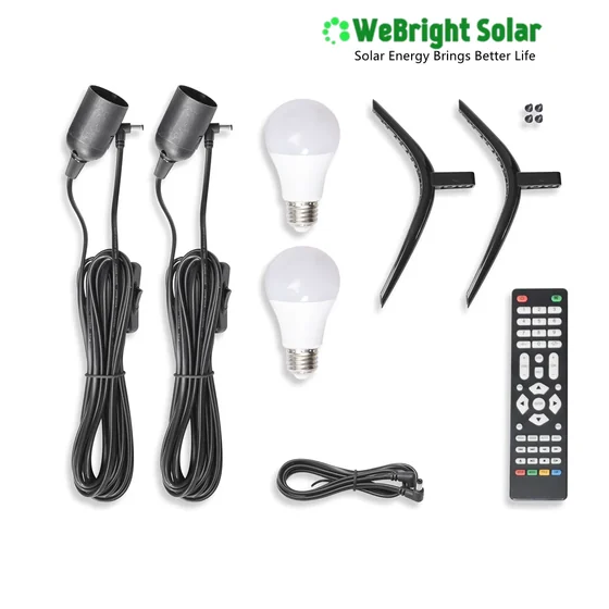 Solar light kit components: two black fixtures with cords, two bulbs, mounting brackets, screws, and a remote control.