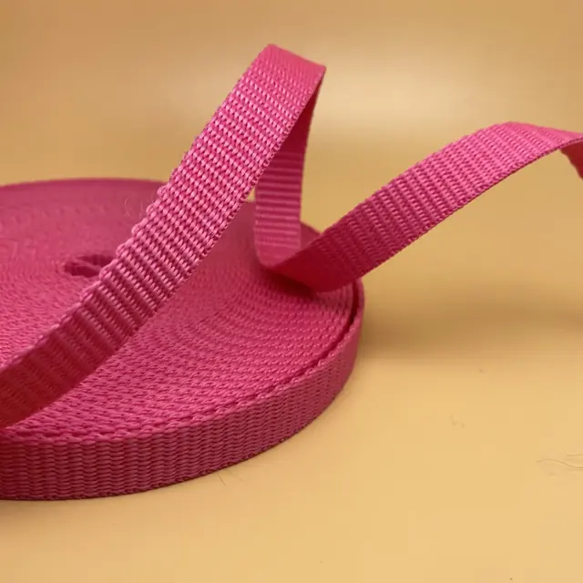 Polypropylene Webbing Tape No 19 woven by Weiye Webbing