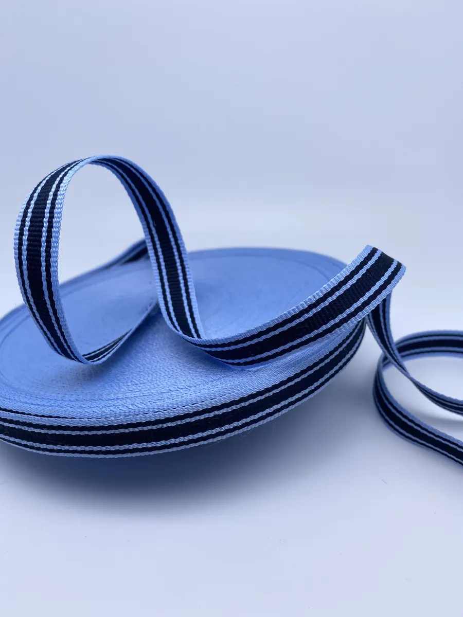 Polyester Webbing