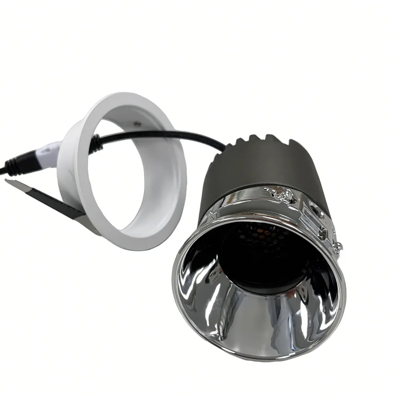 Adjustable and Retrofit led downlight