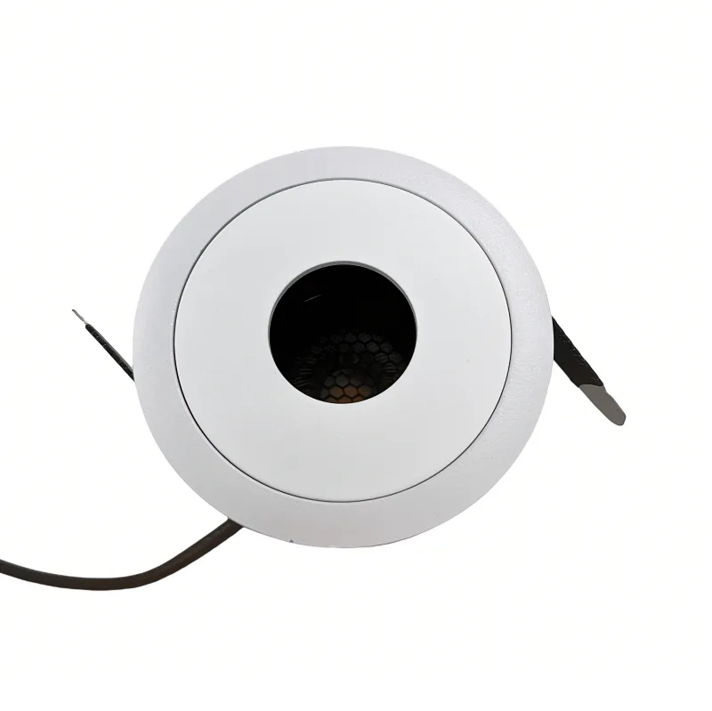 Adjustable and Retrofit led downlight