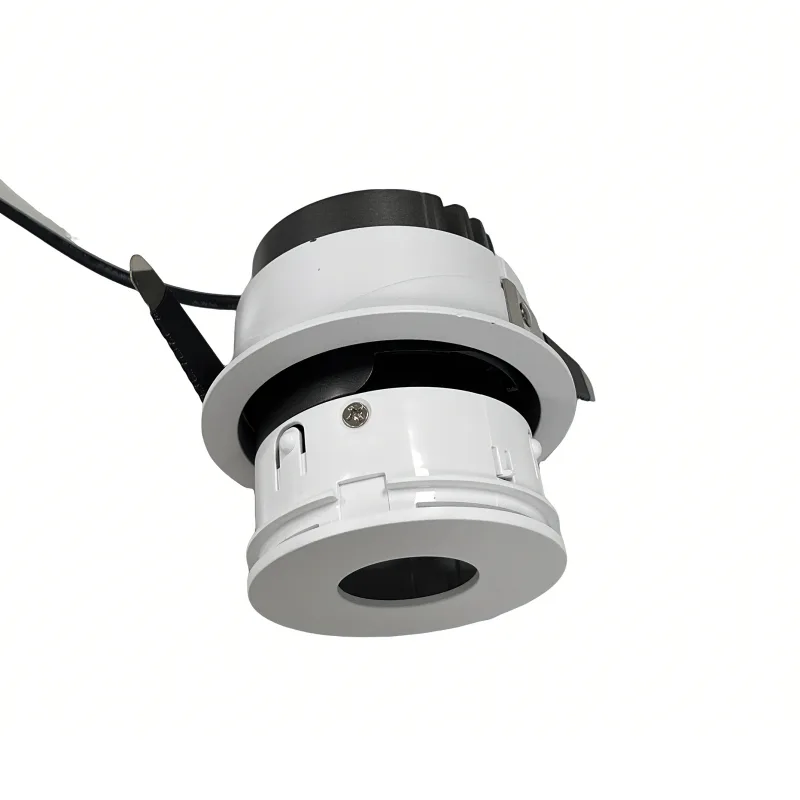 Adjustable and Retrofit led downlight