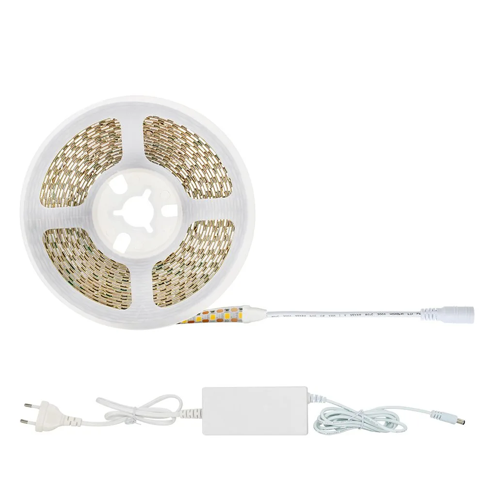 strip light with 5050 smd led