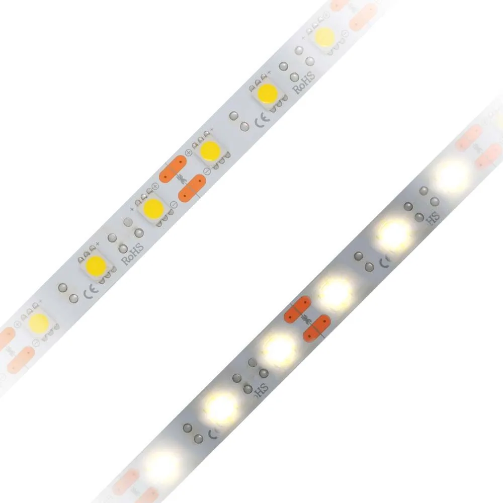 strip light with 5050 smd led