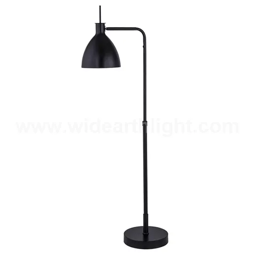 Floor Lamp F20188 - Floor Lamp by Widearth Lighting