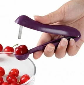 Handle Stainless Steel Cherry Pitter WK0006