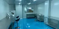Clean room moulding area with controlled access and sealed blue flooring