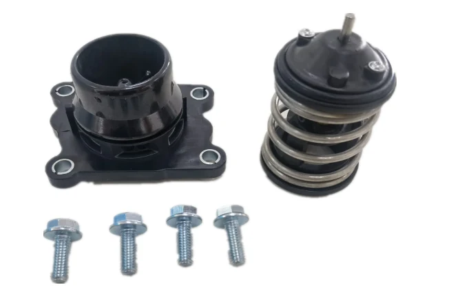 Thermostat Assembly for BMW group