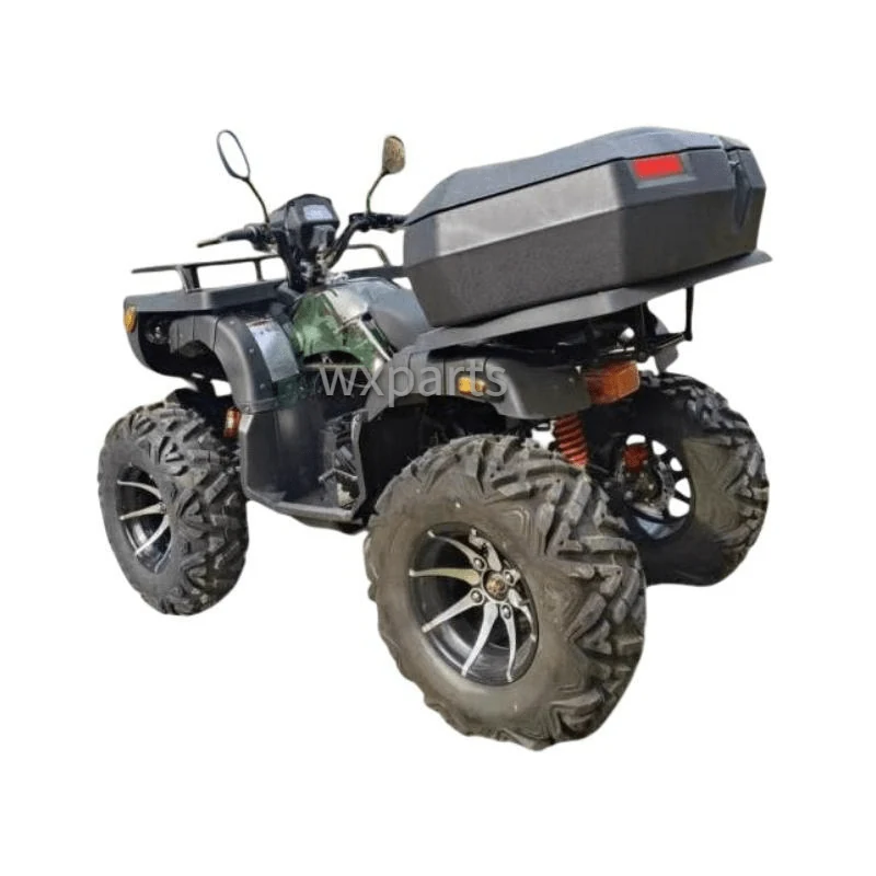 All-terrain Vehicle WX250-C-7 view 2