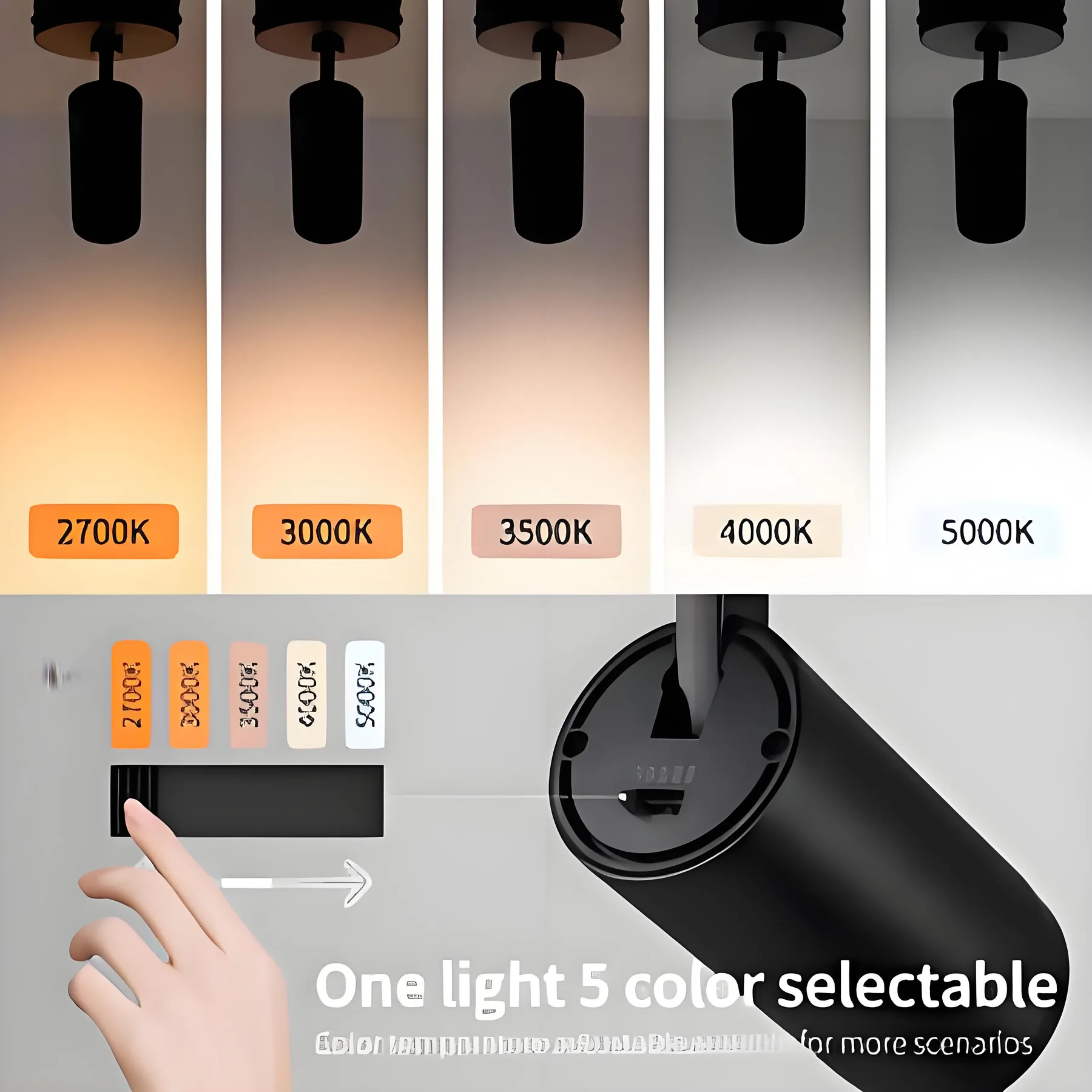 5-Color Zoomable Indoor Spot Light X0009-01B-3 specification view