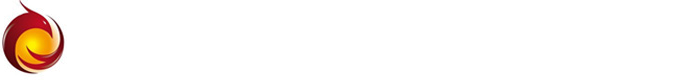 XINFEI INDUSTRY GROUP
