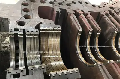 Уплотнительное кольцо паровой турбины detail
