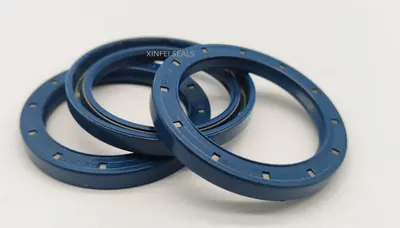 CFW Oil Seal BAFSL1SF 60X106X7/5mm hydraulic pump motors — Oil Seals And Rotary Shaft Seals