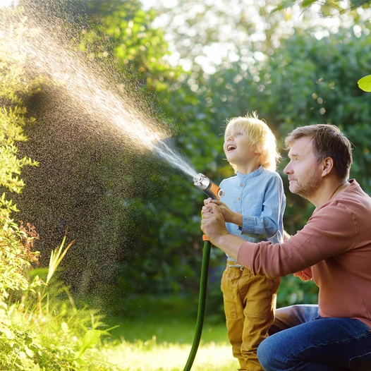 Garden lawn being watered under low afternoon sun