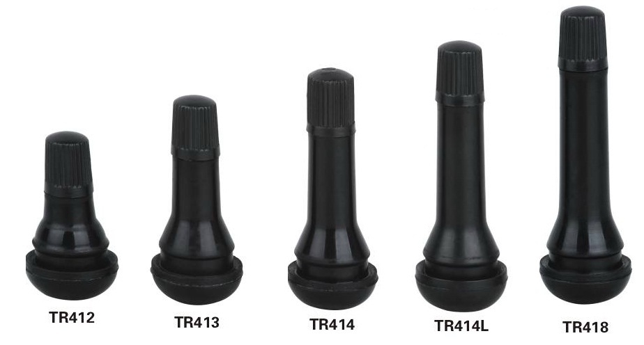 Tubeless Snap in valves