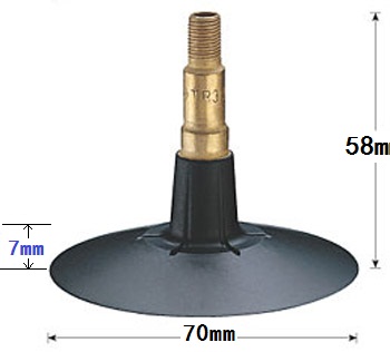 TR300