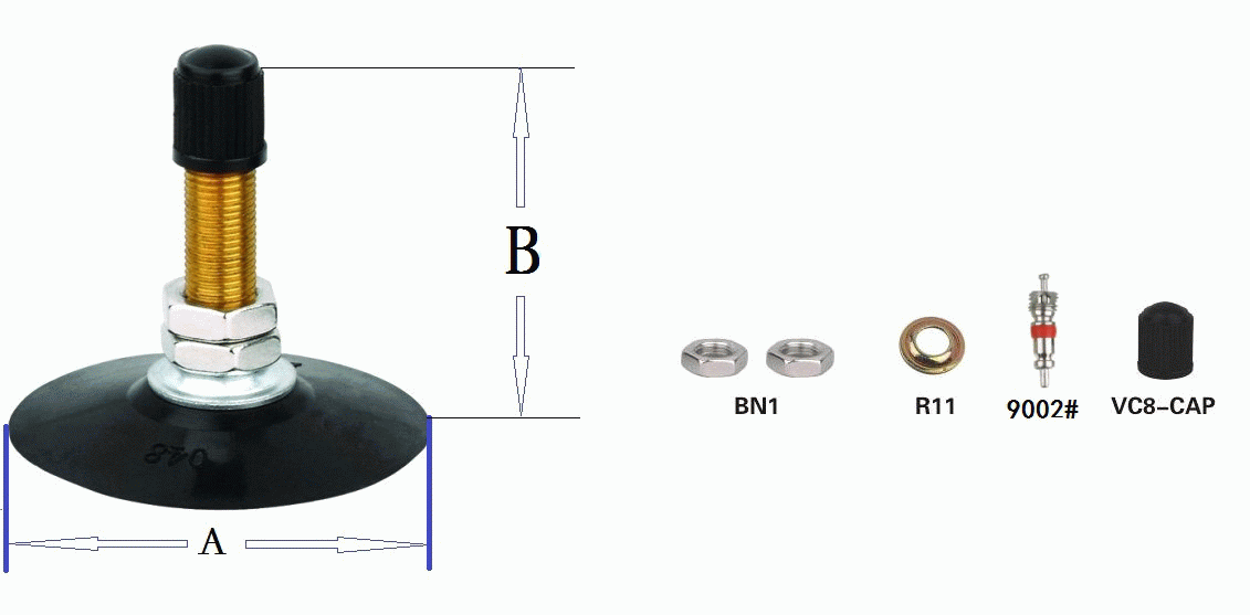 TR4 Motorcycle valve