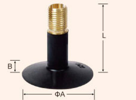 EAV-25