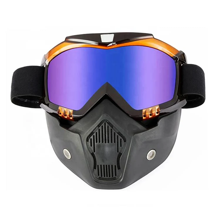 Motorcycle Goggles