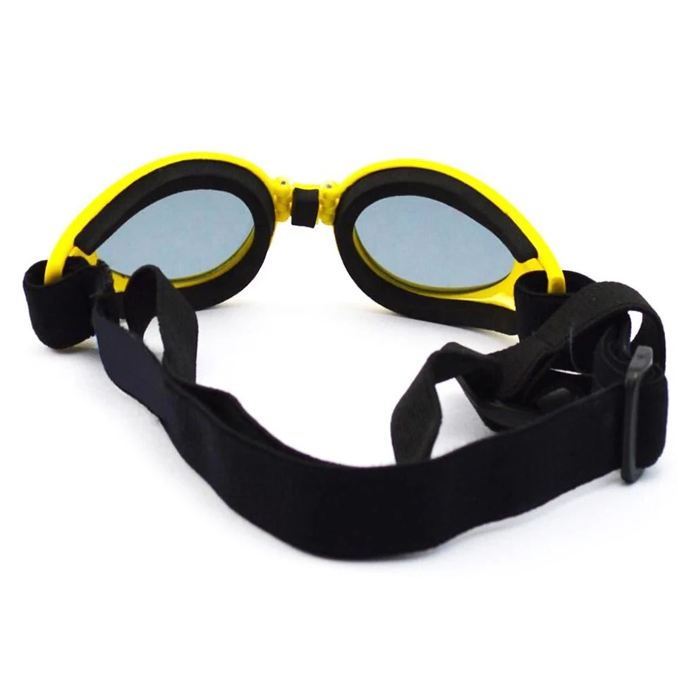PG-BP004 pet goggles worn by a medium-size dog during outdoor activity