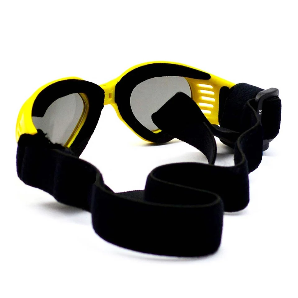 PG-BP026S pet goggles worn by a medium dog during outdoor activity