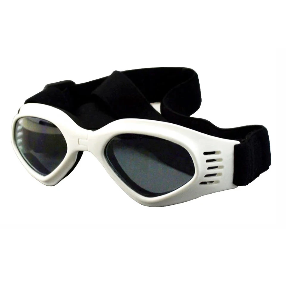 Front view of PG-BP026S with foam frame and dual straps secured on a medium dog