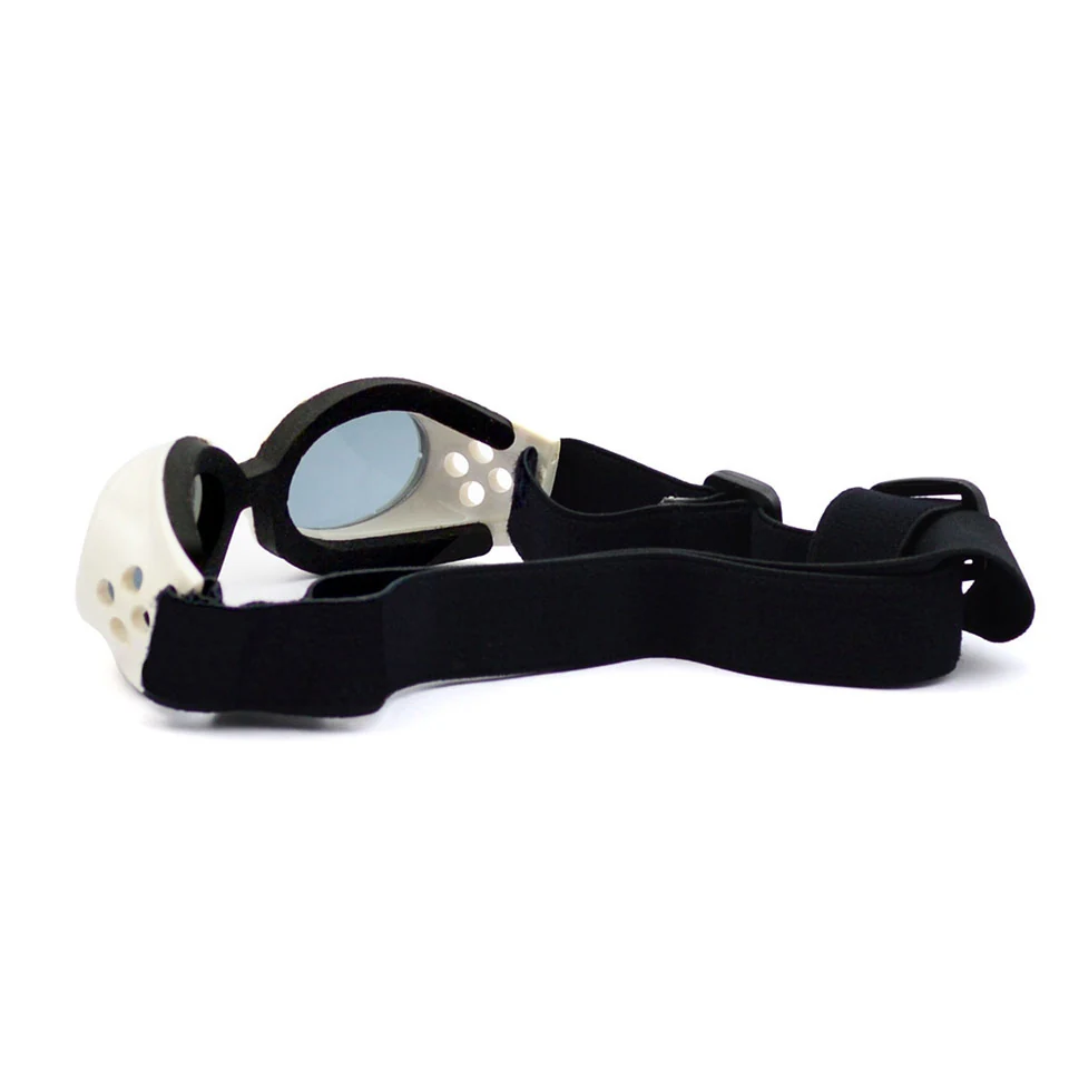 PG-BP029 pet goggles worn by a small dog during outdoor activity
