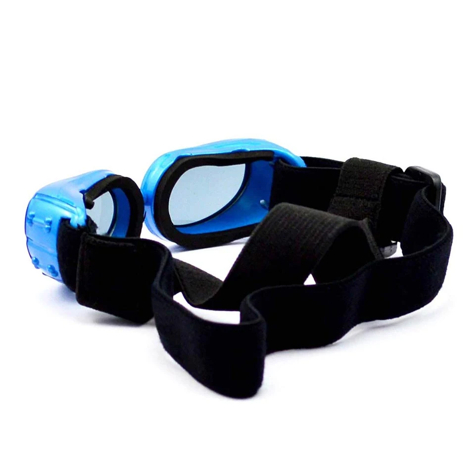PG-BP060 dog goggles worn on a small dog, showing secure fit and windproof design