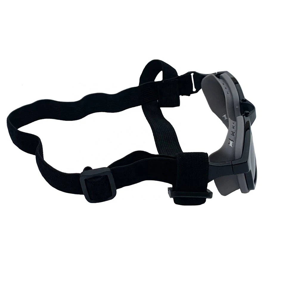 PG-BP079 dog sunglasses fitted on a medium-sized dog during outdoor activity