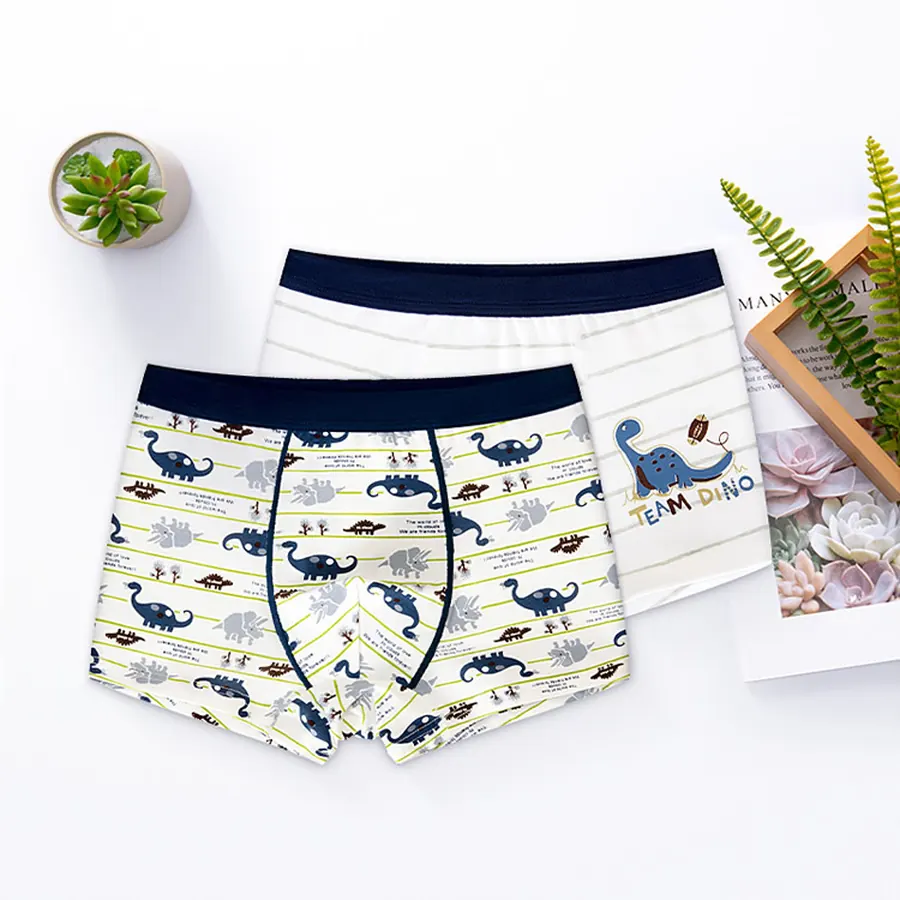 Printed Cotton Kids Boxers view 2